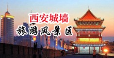 和又浪又漂亮的小嫩逼的操逼的视频中国陕西-西安城墙旅游风景区